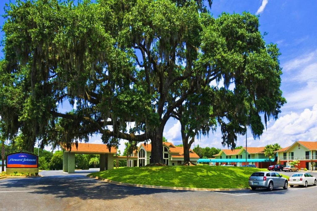 The Old Senator Tree and Howard Johnson Hotel